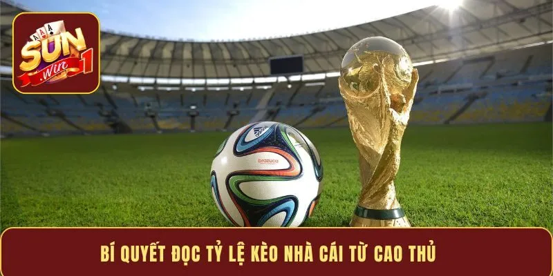 Bí quyết đọc tỷ lệ kèo nhà cái từ cao thủ